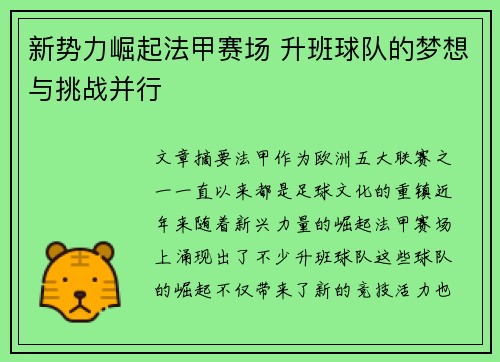新势力崛起法甲赛场 升班球队的梦想与挑战并行